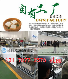 河南商丘豆腐皮機采購指南 廠家直銷、商用價格與購買渠道